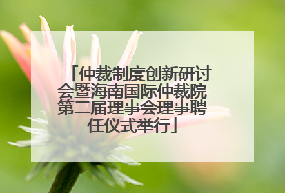 仲裁制度创新研讨会暨海南国际仲裁院第二届理事会理事聘任仪式举行