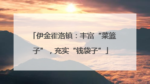 伊金霍洛镇：丰富“菜篮子”，充实“钱袋子”