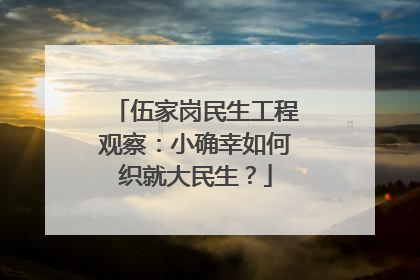 伍家岗民生工程观察：小确幸如何织就大民生？
