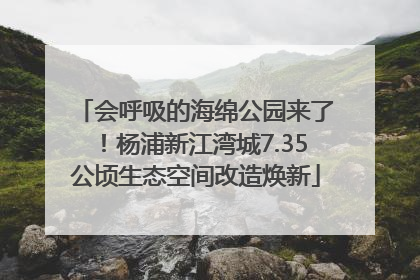 会呼吸的海绵公园来了！杨浦新江湾城7.35公顷生态空间改造焕新