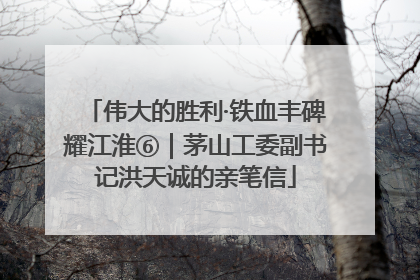 伟大的胜利·铁血丰碑耀江淮⑥｜茅山工委副书记洪天诚的亲笔信
