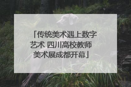传统美术遇上数字艺术 四川高校教师美术展成都开幕