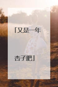 又是一年杏子肥