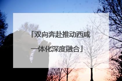 双向奔赴推动西咸一体化深度融合