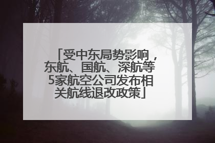 受中东局势影响，东航、国航、深航等5家航空公司发布相关航线退改政策