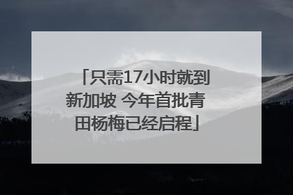 只需17小时就到新加坡 今年首批青田杨梅已经启程