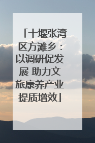 十堰张湾区方滩乡：以调研促发展 助力文旅康养产业提质增效