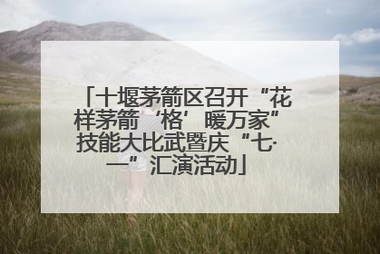 十堰茅箭区召开“花样茅箭‘格’暖万家”技能大比武暨庆“七·一”汇演活动