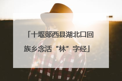 十堰郧西县湖北口回族乡念活“林”字经