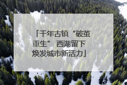 千年古镇“破茧重生” 西湖留下焕发城市新活力