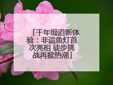 千年蜀道新体验：非遗鱼灯首次亮相 徒步挑战再掀热潮