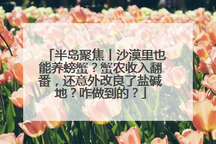 半岛聚焦丨沙漠里也能养螃蟹？蟹农收入翻番，还意外改良了盐碱地？咋做到的？
