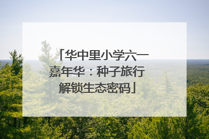 华中里小学六一嘉年华：种子旅行解锁生态密码