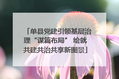 单县党建引领基层治理“谋篇布局” 绘就共建共治共享新图景
