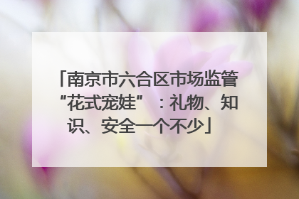 南京市六合区市场监管“花式宠娃”：礼物、知识、安全一个不少