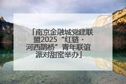 南京金融城党建联盟2025“红链・河西鹊桥”青年联谊派对甜蜜举办