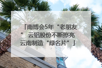 南博会5年“老朋友” 云铝股份不断擦亮云南制造“绿名片”