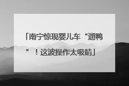 南宁惊现婴儿车“遛鸭”！这波操作太吸睛