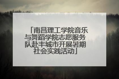南昌理工学院音乐与舞蹈学院志愿服务队赴丰城市开展暑期社会实践活动