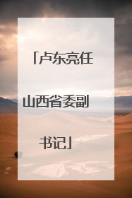 卢东亮任山西省委副书记