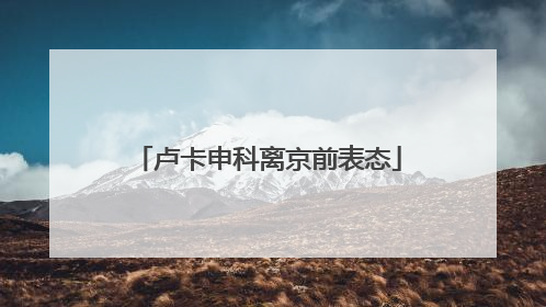 卢卡申科离京前表态