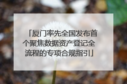 厦门率先全国发布首个聚焦数据资产登记全流程的专项合规指引