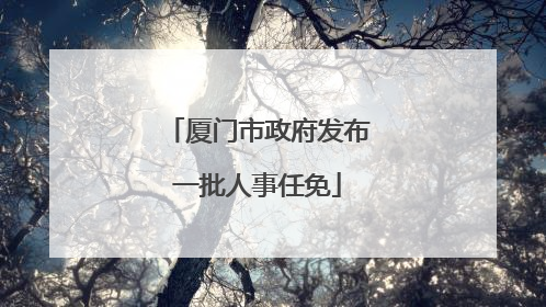 厦门市政府发布一批人事任免