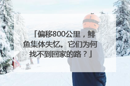 偏移800公里，鲱鱼集体失忆。它们为何找不到回家的路？