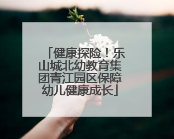 健康探险！乐山城北幼教育集团青江园区保障幼儿健康成长