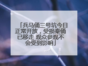 兵马俑三号坑今日正常开放，受损秦俑已移走 观众参观不会受到影响