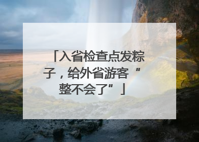 入省检查点发粽子，给外省游客“整不会了”