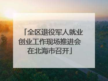 全区退役军人就业创业工作现场推进会在北海市召开