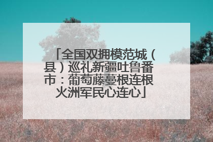 全国双拥模范城（县）巡礼新疆吐鲁番市：葡萄藤蔓根连根 火洲军民心连心