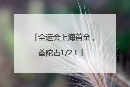 全运会上海首金，普陀占1/2！