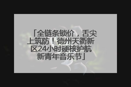 全链条锁价，舌尖上筑防！德州天衢新区24小时硬核护航新青年音乐节