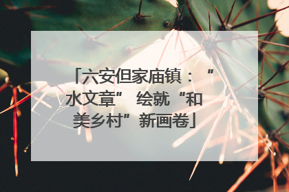 六安但家庙镇:“水文章” 绘就“和美乡村”新画卷
