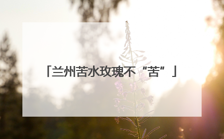 兰州苦水玫瑰不“苦”