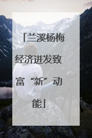 兰溪杨梅经济迸发致富“新”动能