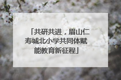 共研共进，眉山仁寿城北小学共同体赋能教育新征程