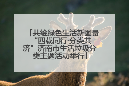 共绘绿色生活新图景 “四载同行·分类共济”济南市生活垃圾分类主题活动举行