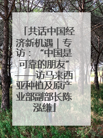 共话中国经济新机遇｜专访：“中国是可靠的朋友”——访马来西亚种植及原产业部副部长陈泓缣