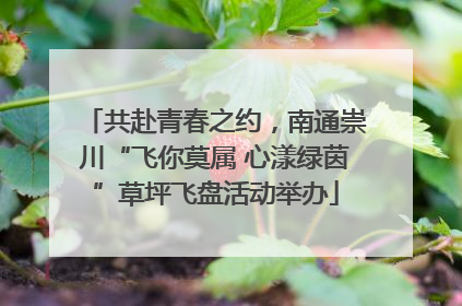 共赴青春之约，南通崇川“飞你莫属 心漾绿茵”草坪飞盘活动举办