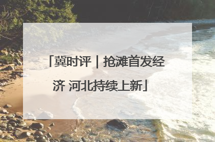 冀时评｜抢滩首发经济 河北持续上新