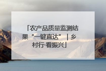 农产品质量监测结果“一键直达”｜乡村行·看振兴