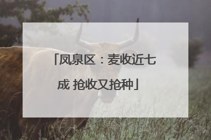 凤泉区：麦收近七成 抢收又抢种