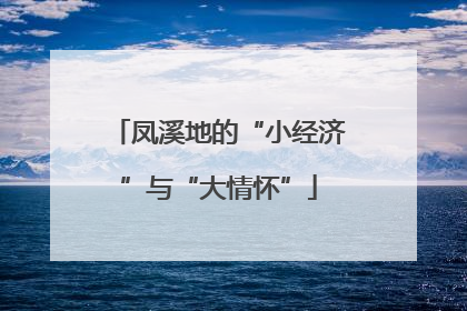 凤溪地的“小经济”与“大情怀”