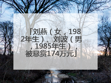 刘燕（女，1982年生）、刘波（男，1985年生），被悬赏174万元