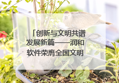创新与文明共谱发展新篇——润和软件荣膺全国文明单位称号