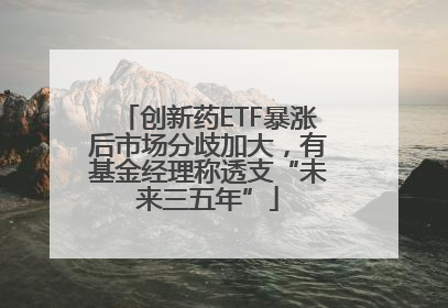 创新药ETF暴涨后市场分歧加大，有基金经理称透支“未来三五年”