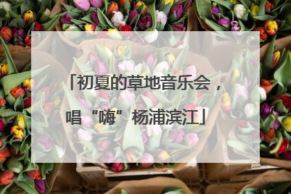 初夏的草地音乐会，唱“嗨”杨浦滨江